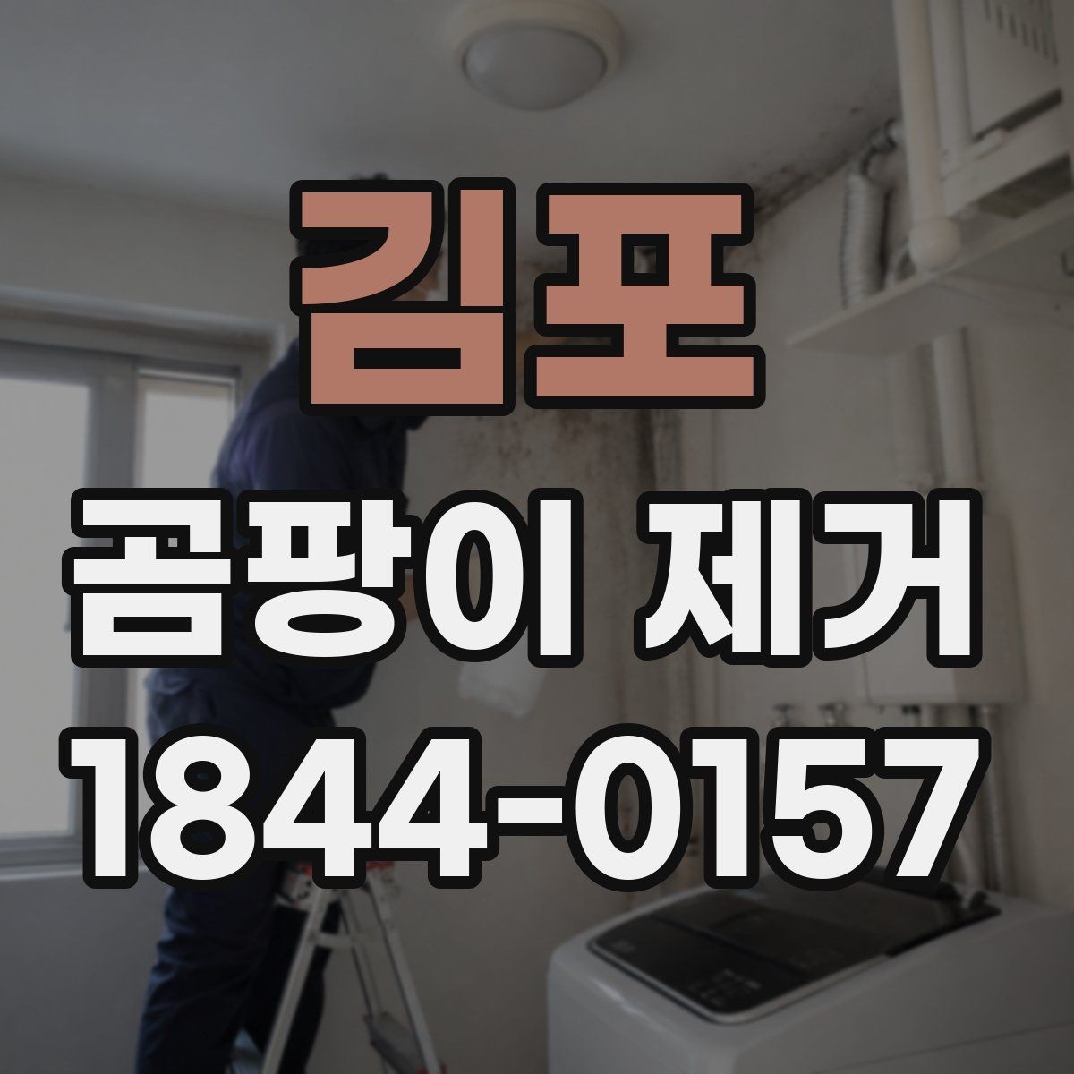 김포 곰팡이 제거 목재와 천 소재 오염을 다루는 순서