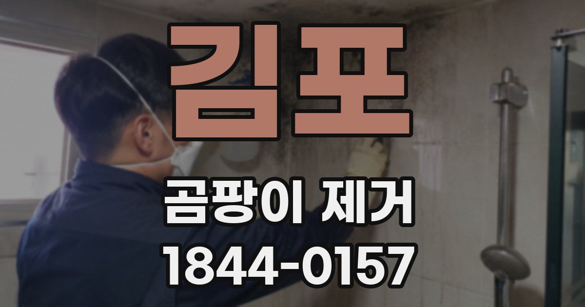 김포 곰팡이 제거