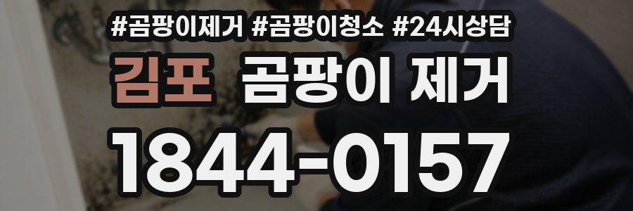 김포 곰팡이 제거