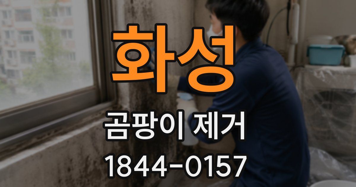 화성 곰팡이 제거