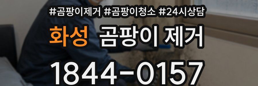 화성 곰팡이 제거
