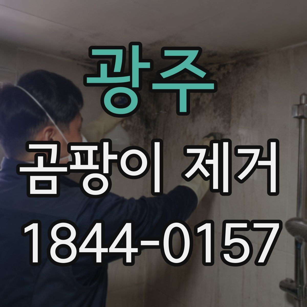 광주 곰팡이 제거 전문 장비가 필요한 넓은 번짐 대처법