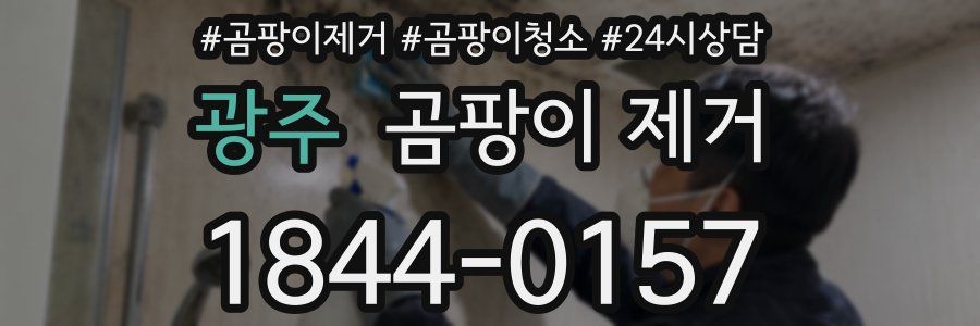광주 곰팡이 제거