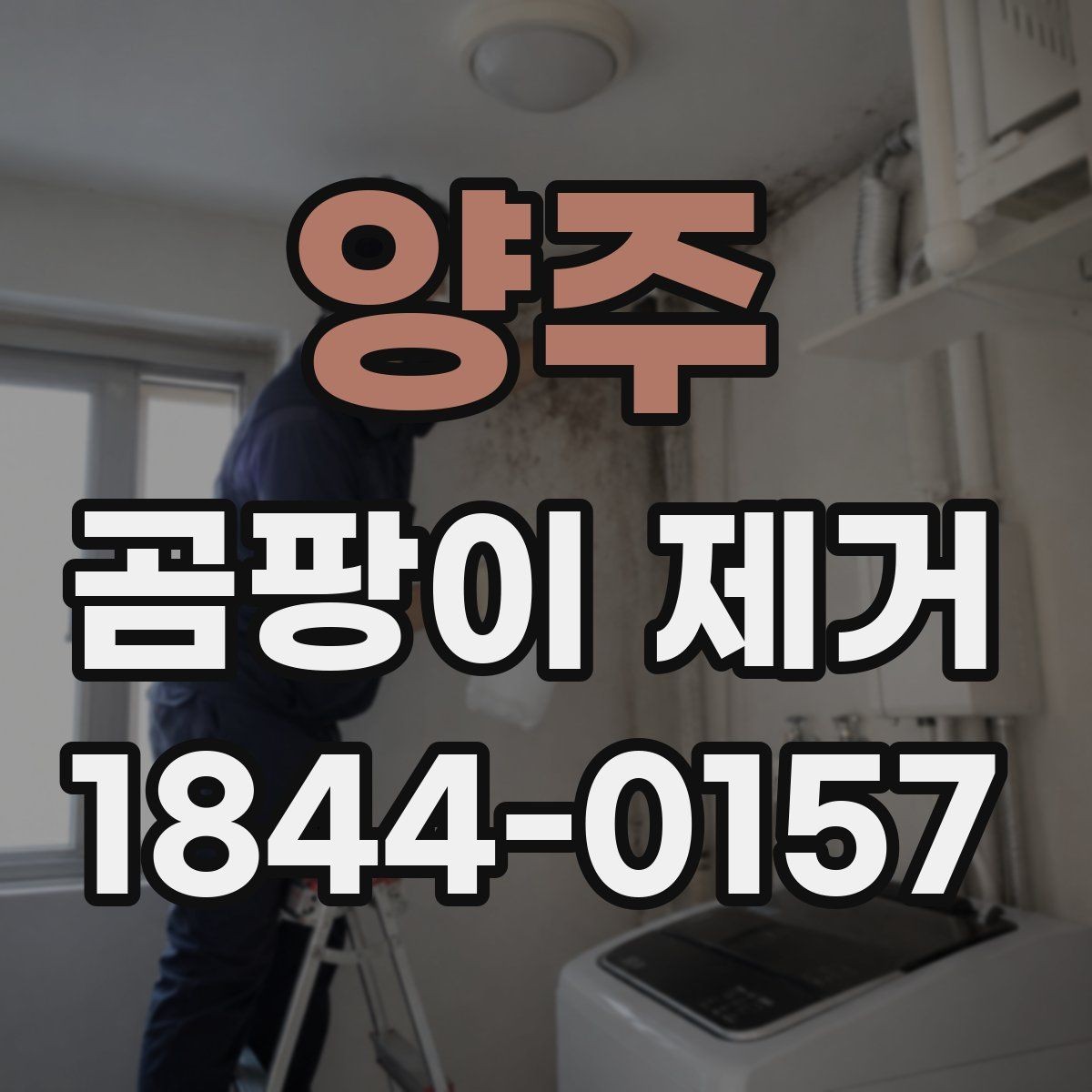 양주 곰팡이 제거 오래된 얼룩이 까다로운 이유와 대처