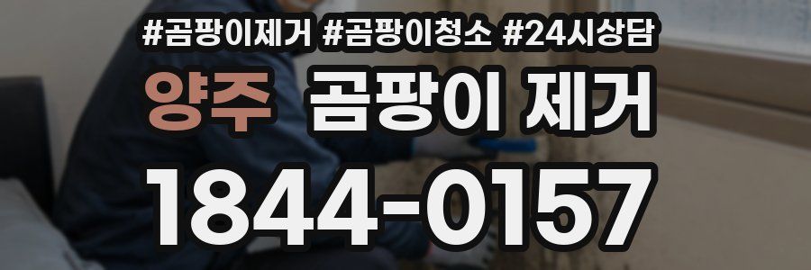 양주 곰팡이 제거