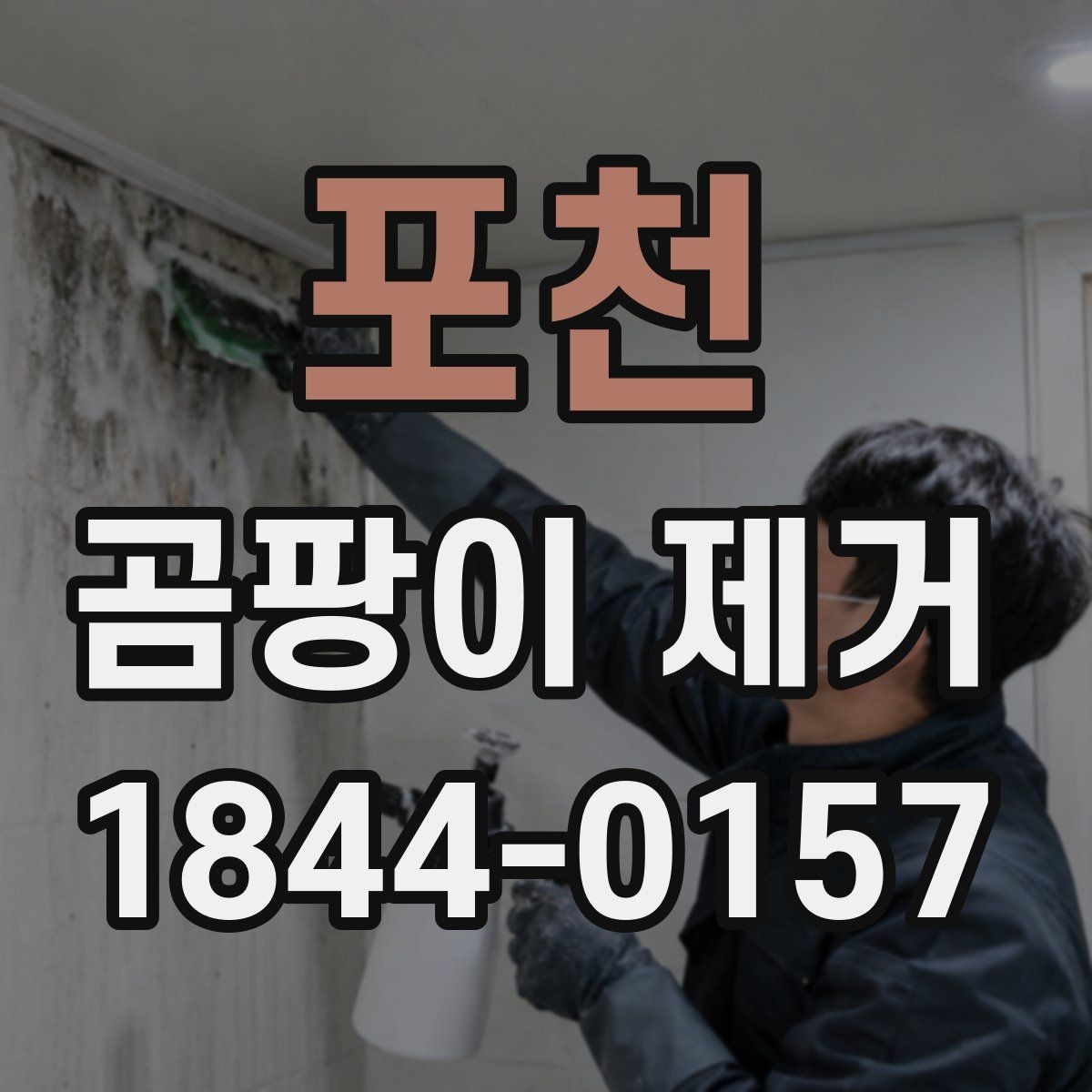 포천 곰팡이 제거 도배 전 벽면 상태를 살피는 방법