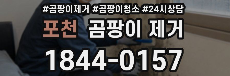 포천 곰팡이 제거
