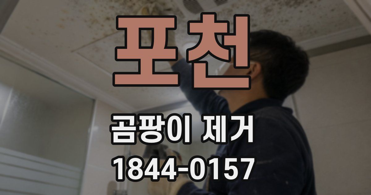 포천 곰팡이 제거