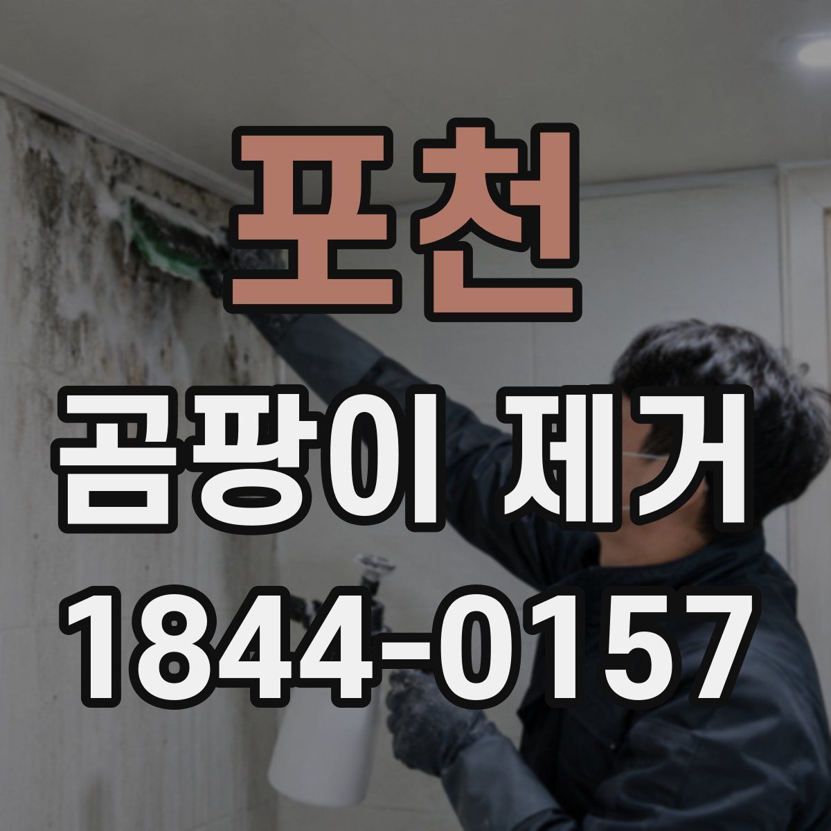 포천 곰팡이 제거