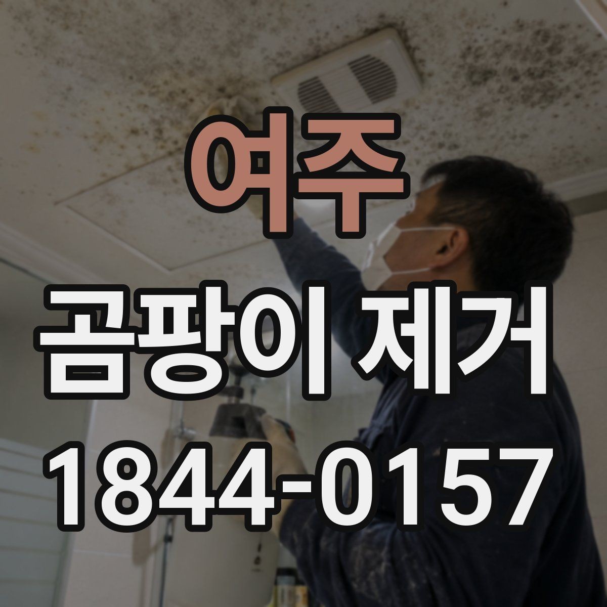 여주 곰팡이 제거 곰팡이 제거 후 재발 막는 건조 팁