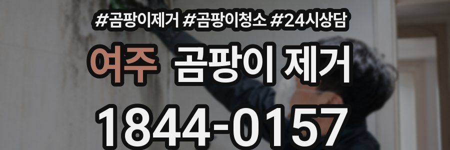여주 곰팡이 제거