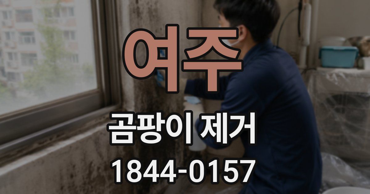 여주 곰팡이 제거