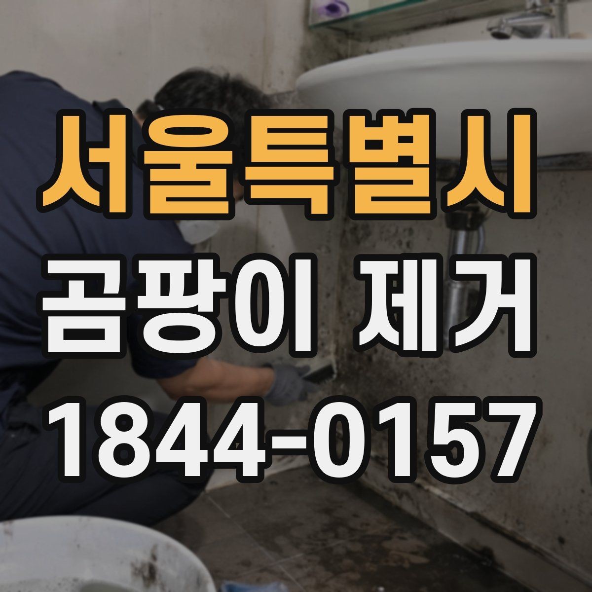 서울특별시 곰팡이 제거 계절 바뀔 때 반복되는 자리들