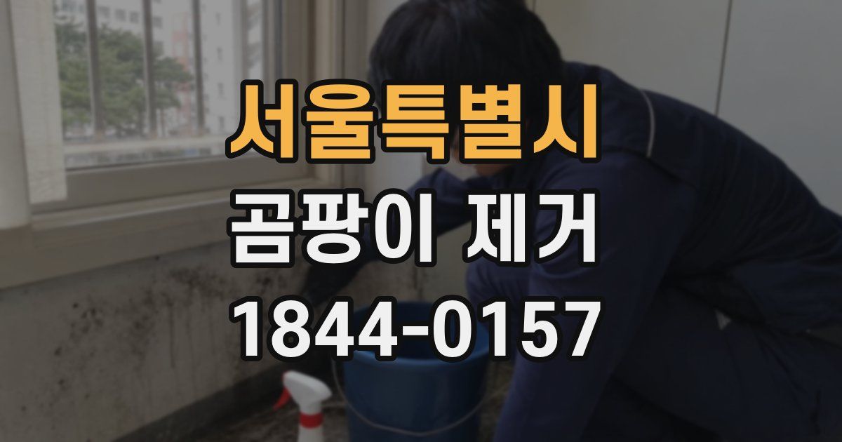 서울특별시 곰팡이 제거
