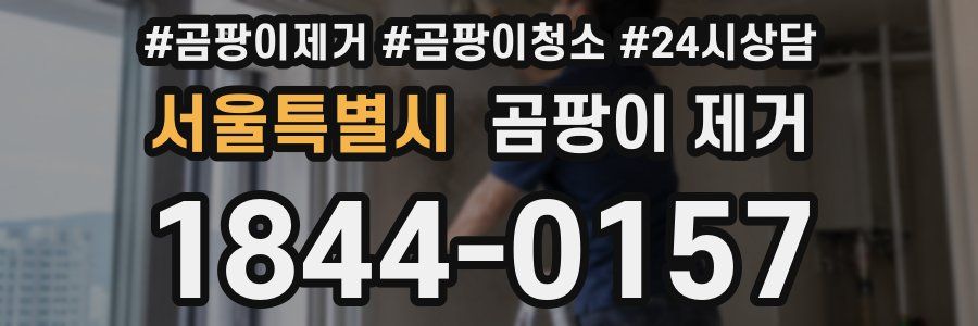 서울특별시 곰팡이 제거