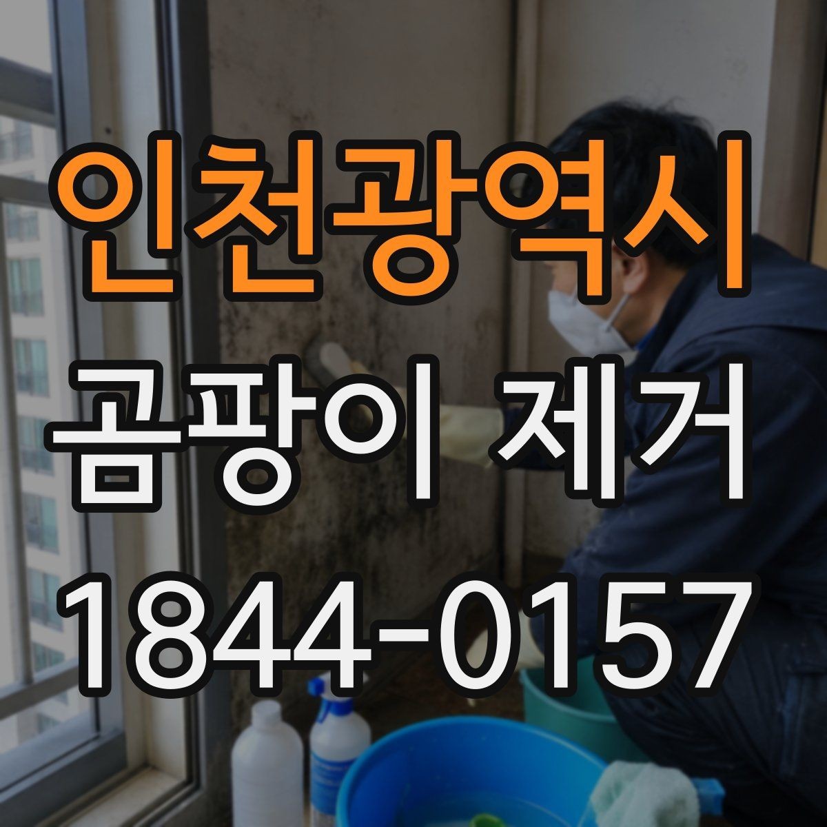 인천광역시 곰팡이 제거 곰팡이 냄새가 쉽게 가시지 않을 때 확인할 곳