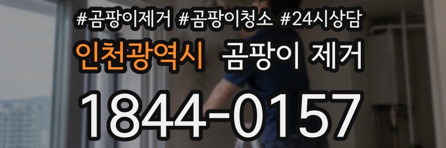 인천광역시 곰팡이 제거