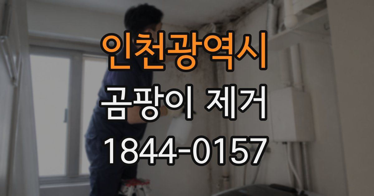 인천광역시 곰팡이 제거