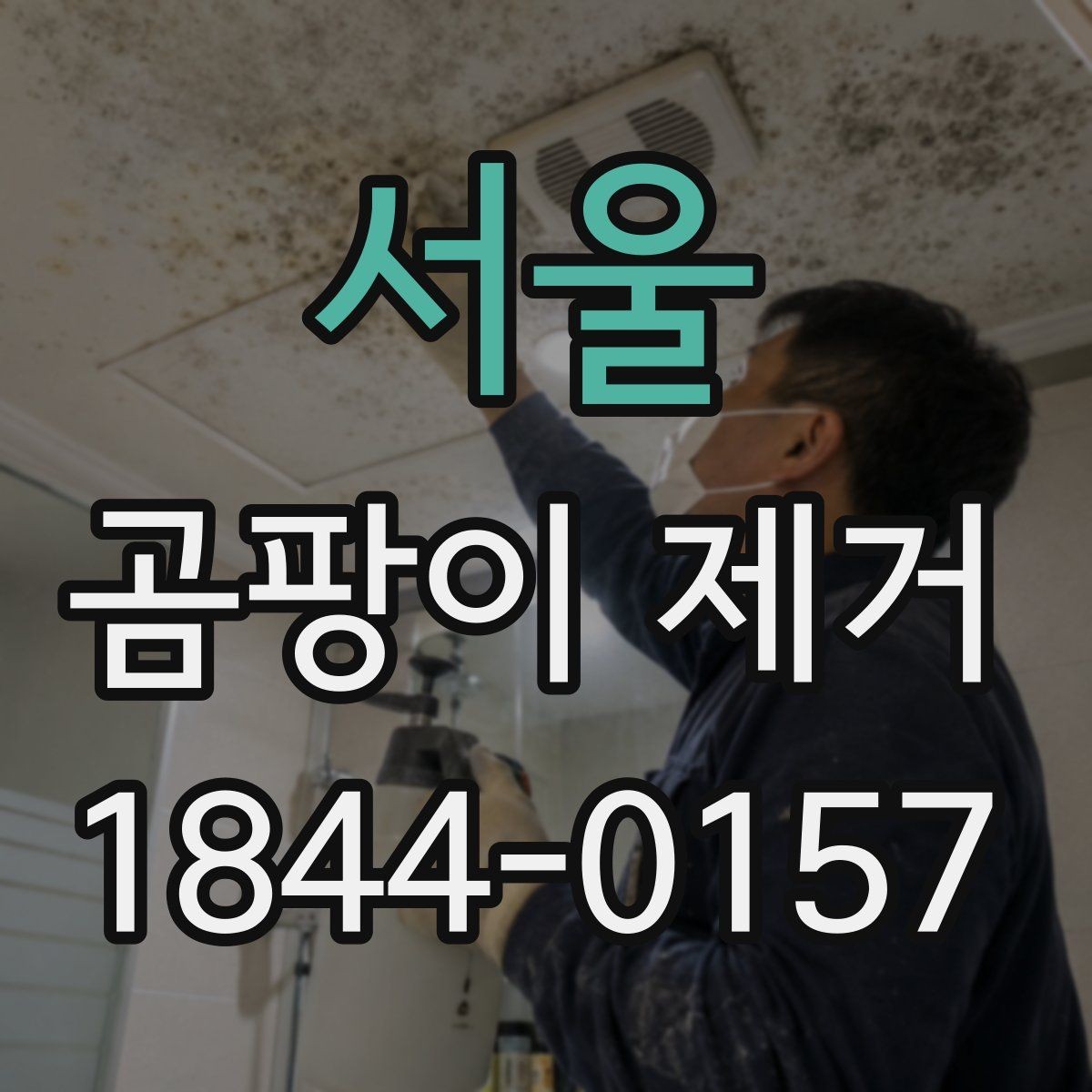 서울 곰팡이 제거 욕실 타일과 실리콘 부위 관리법