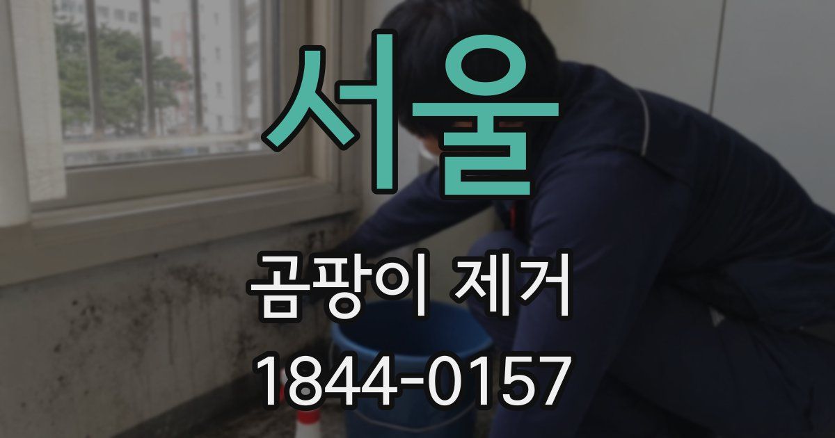 서울 곰팡이 제거