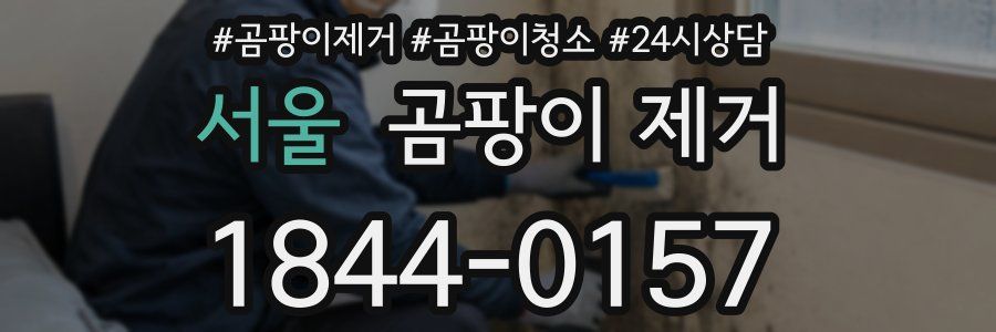 서울 곰팡이 제거