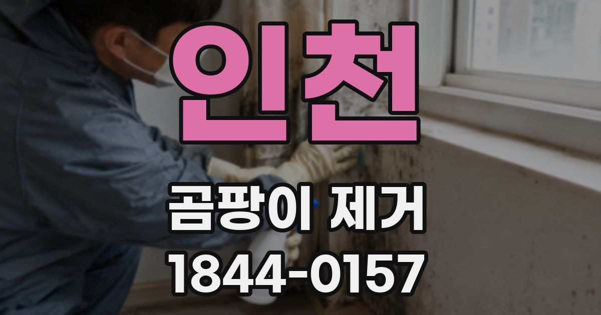 인천 곰팡이 제거