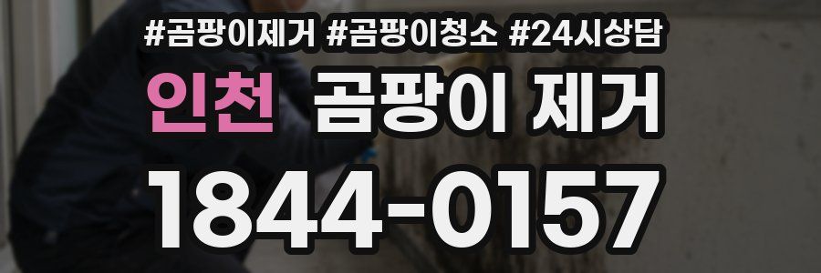 인천 곰팡이 제거