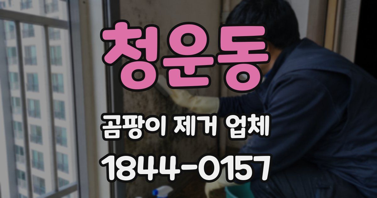 청운동 곰팡이 제거 업체