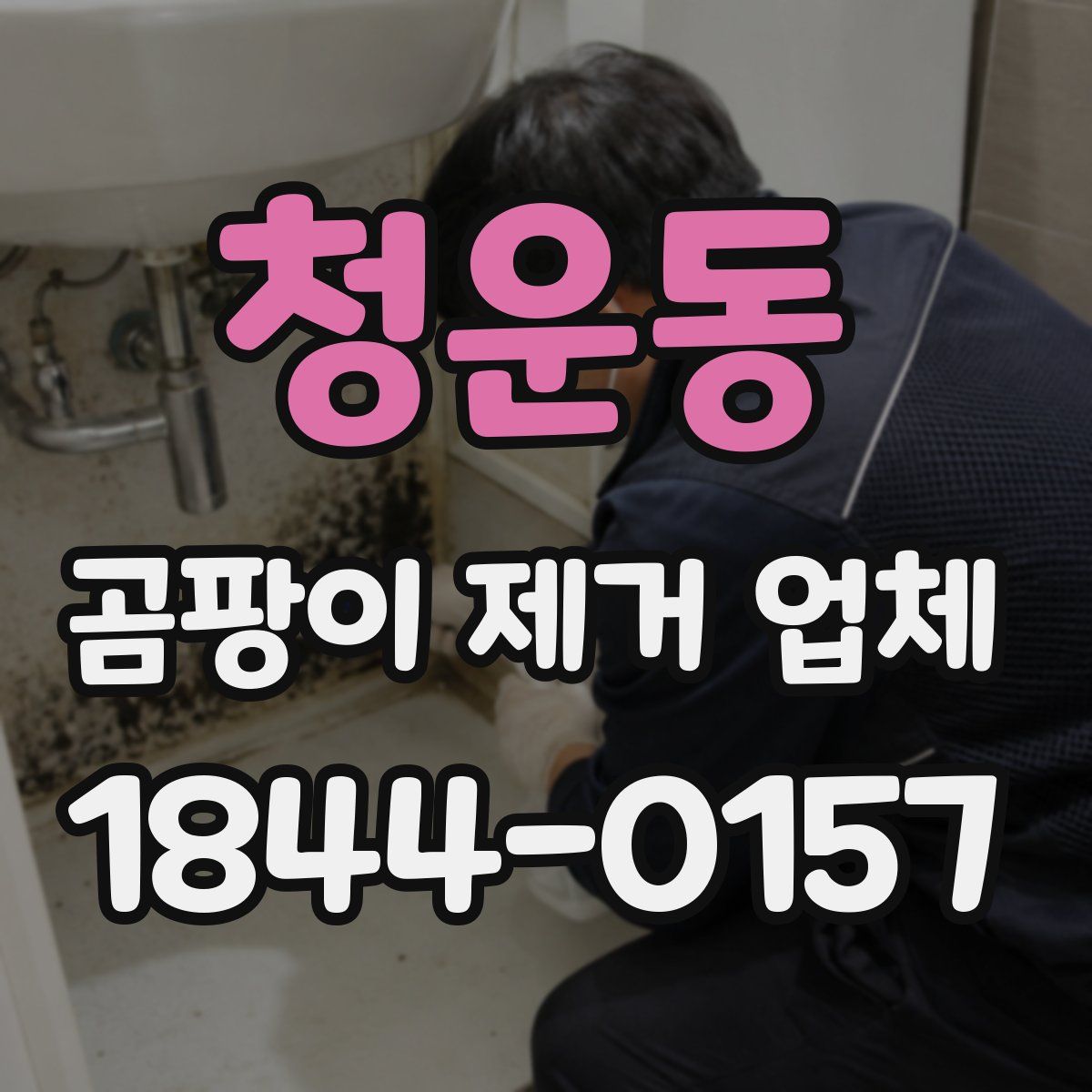 청운동 곰팡이 제거 업체