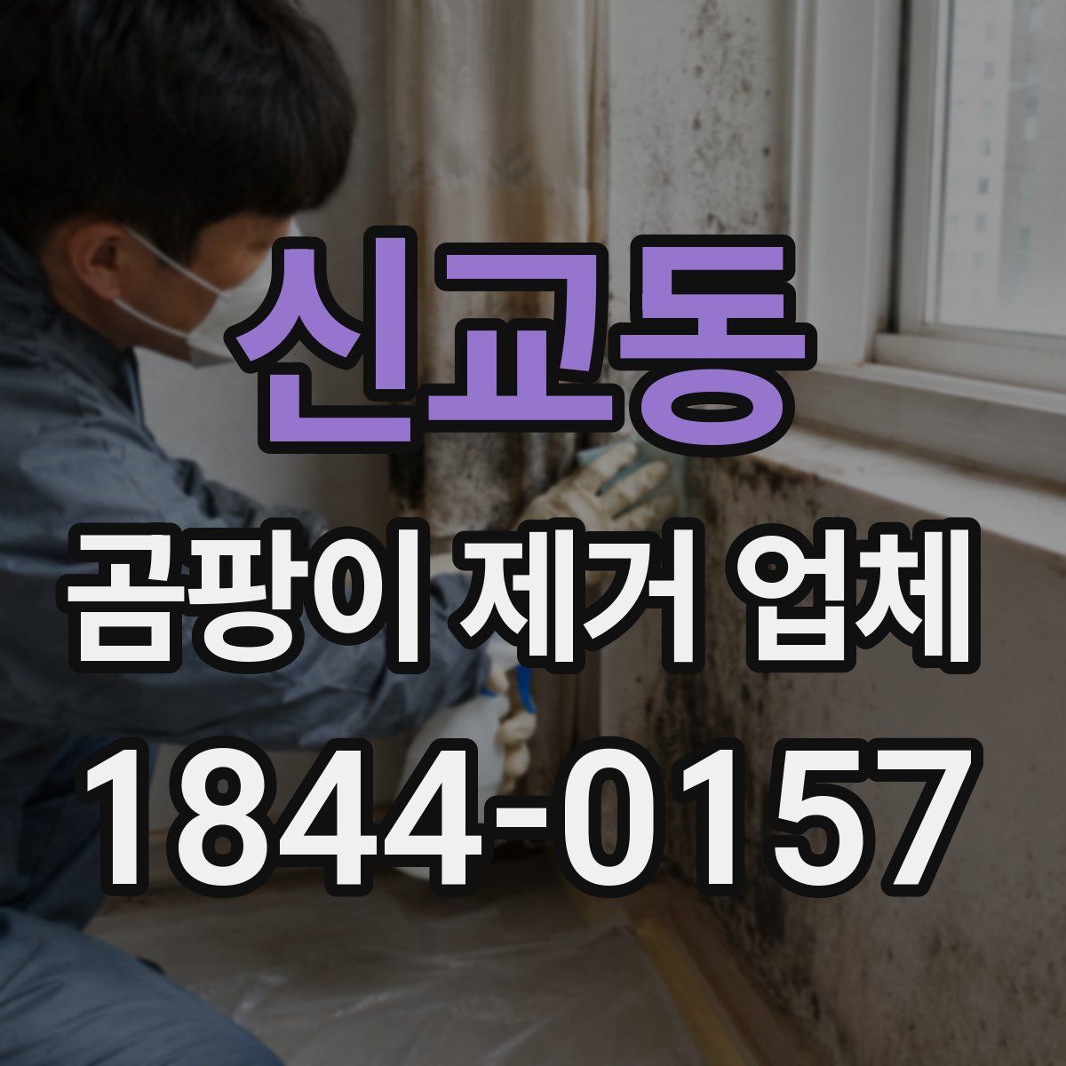 신교동 곰팡이 제거 업체
