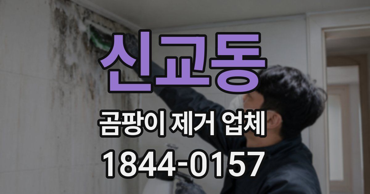 신교동 곰팡이 제거 업체