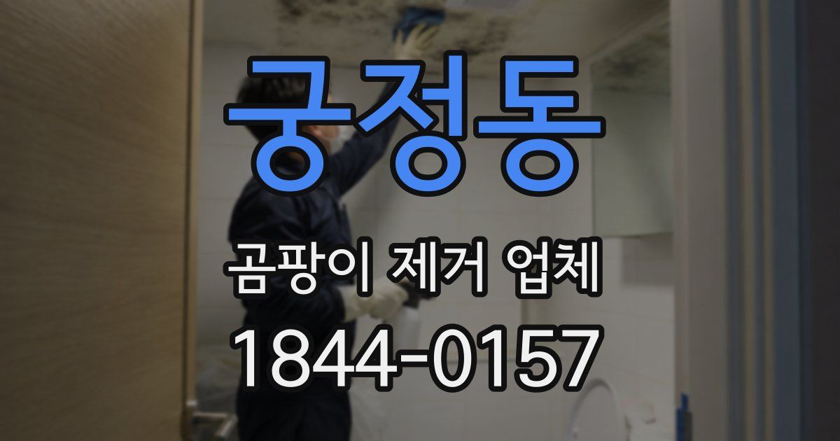 궁정동 곰팡이 제거 업체