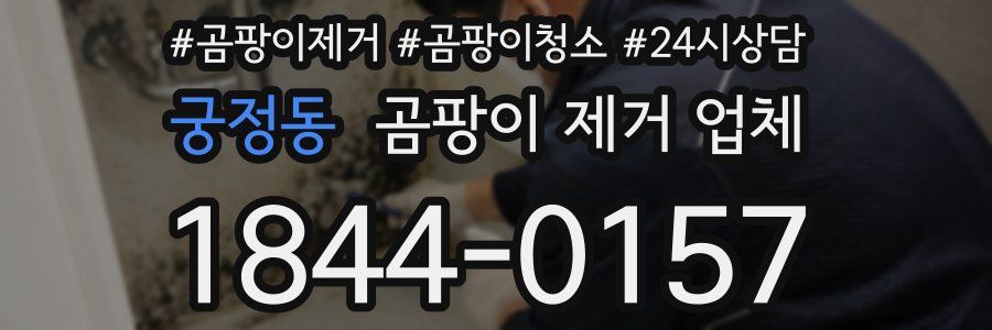 궁정동 곰팡이 제거 업체