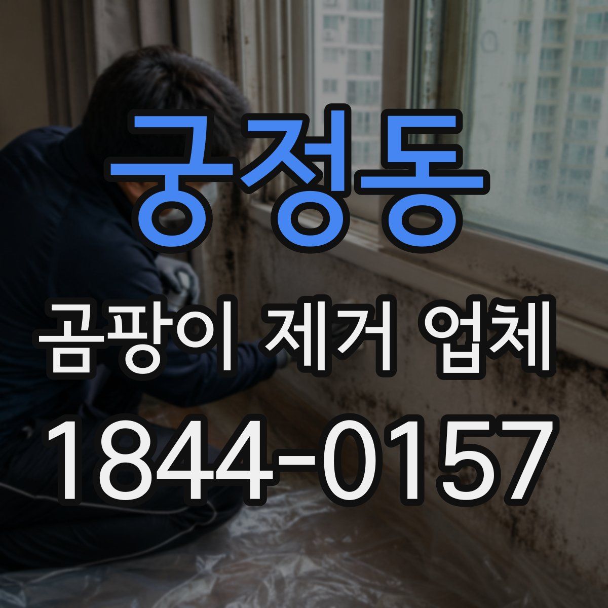 궁정동 곰팡이 제거 업체