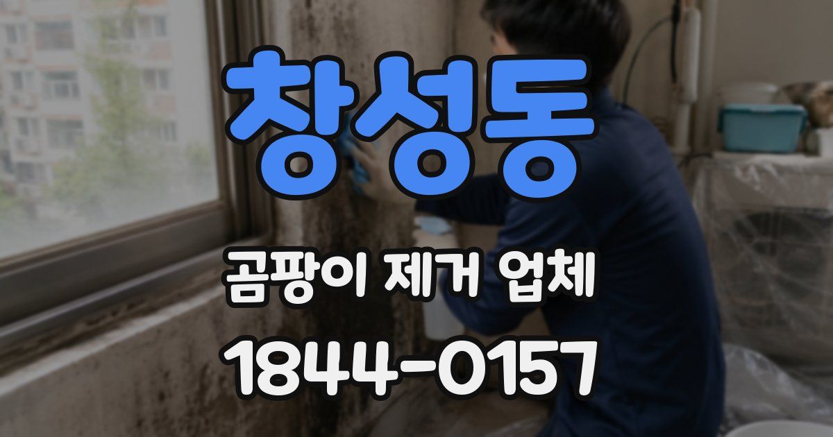 창성동 곰팡이 제거 업체