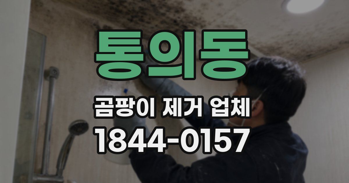 통의동 곰팡이 제거 업체