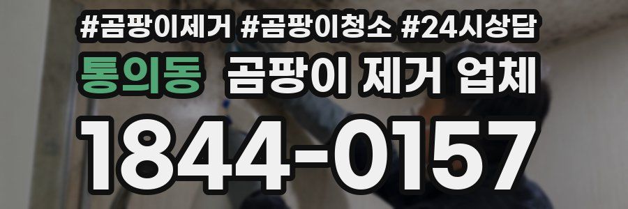 통의동 곰팡이 제거 업체