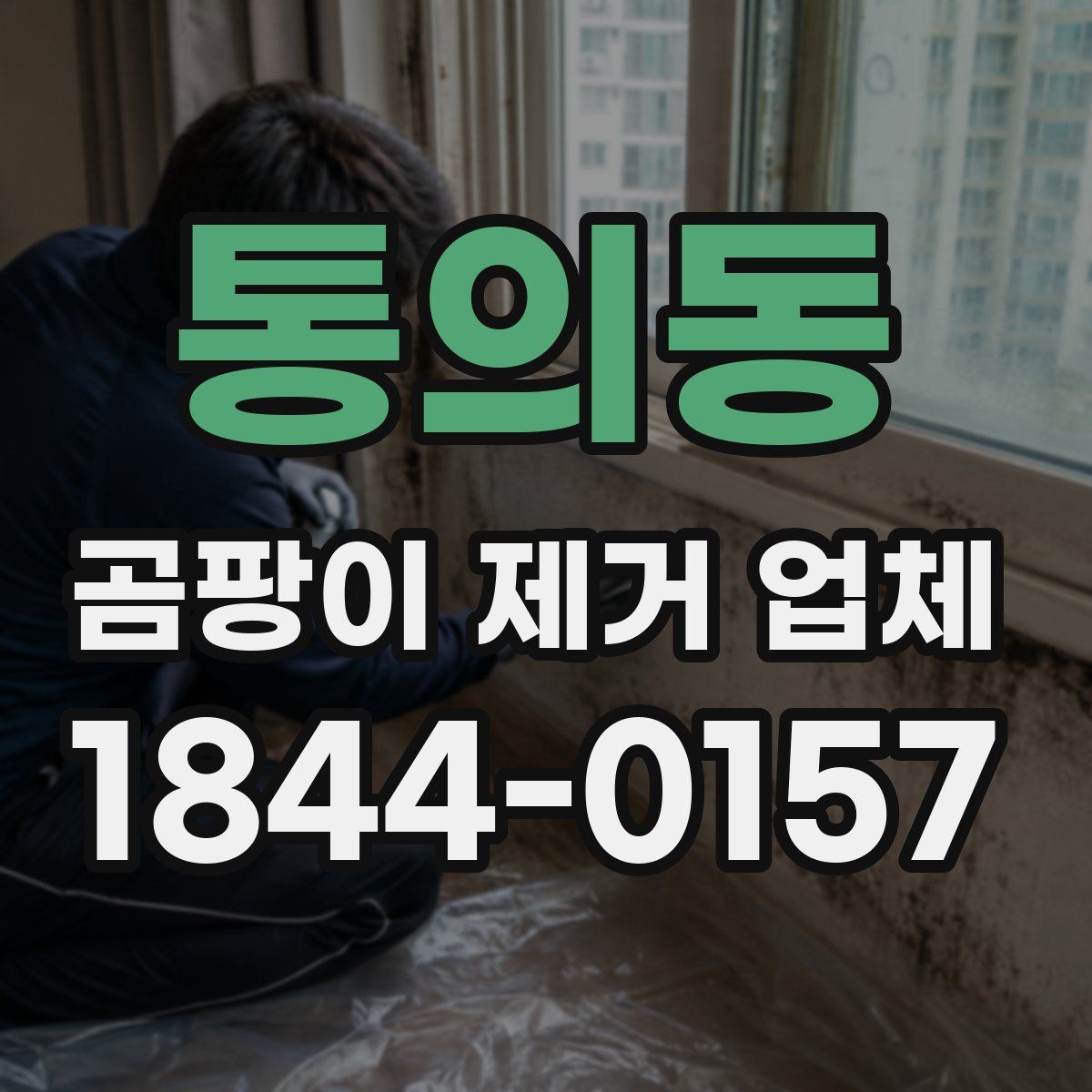 통의동 곰팡이 제거 업체