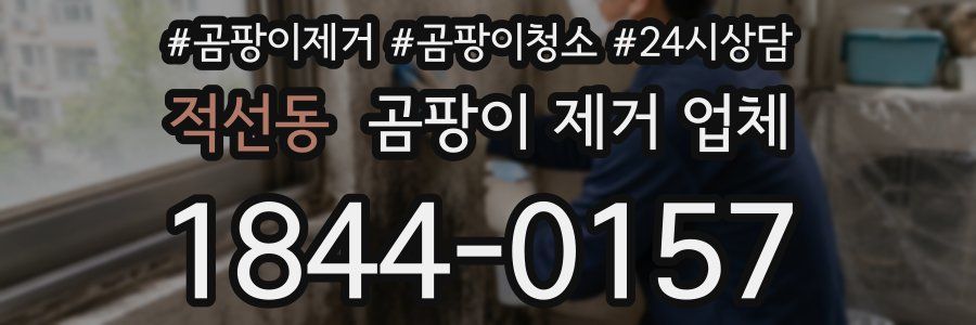 적선동 곰팡이 제거 업체