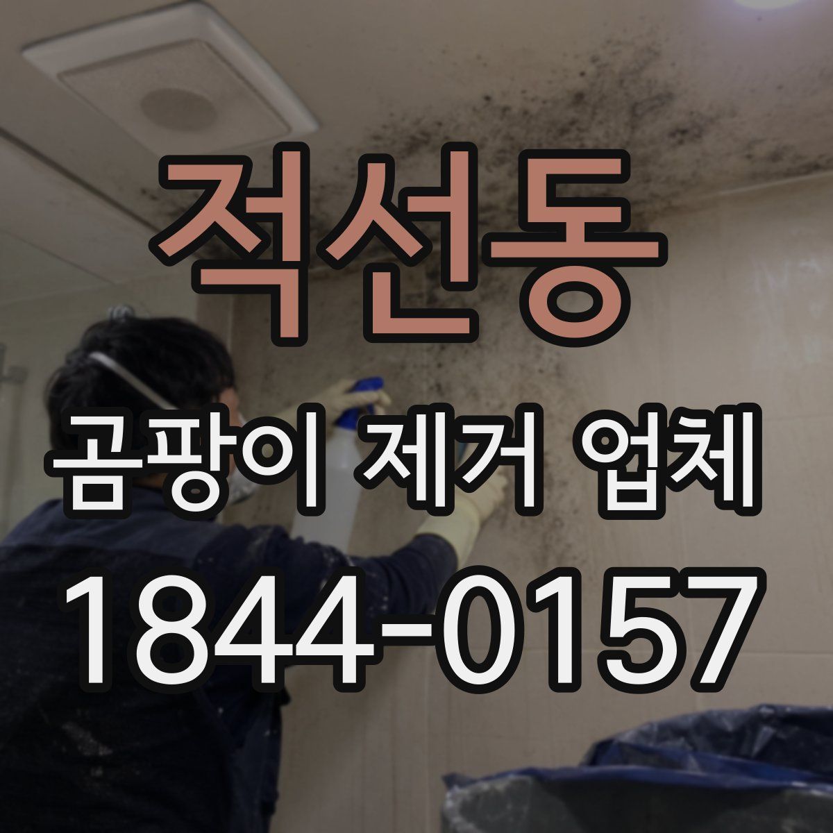 적선동 곰팡이 제거 업체