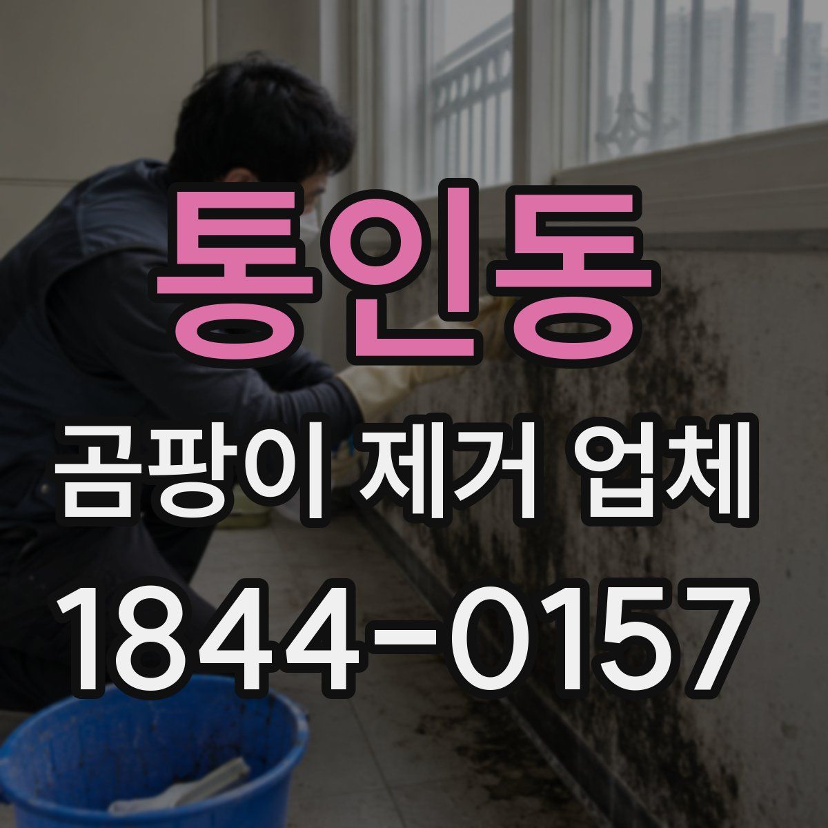 통인동 곰팡이 제거 업체
