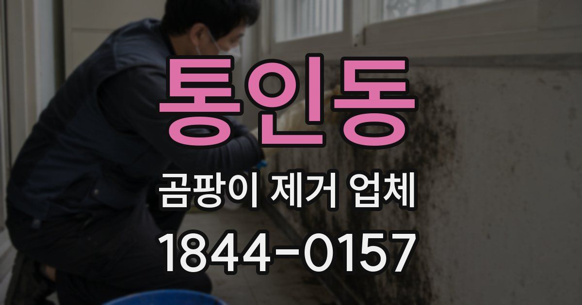 통인동 곰팡이 제거 업체