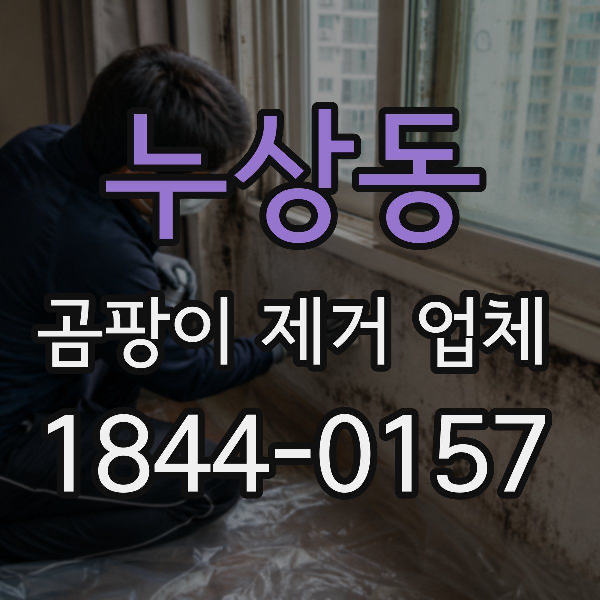 누상동 곰팡이 제거 업체