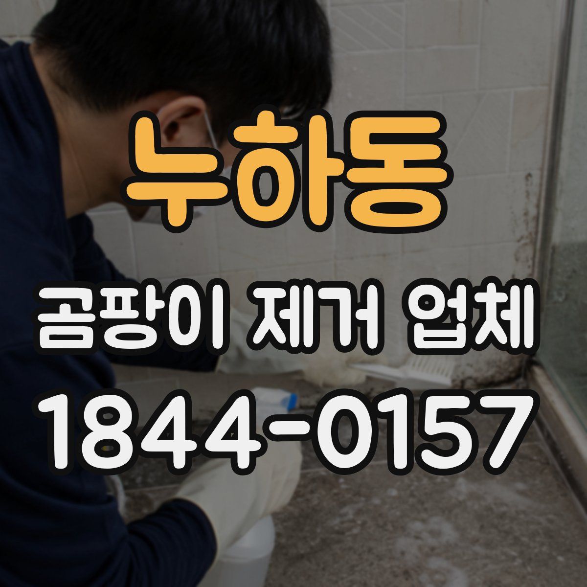 누하동 곰팡이 제거 업체