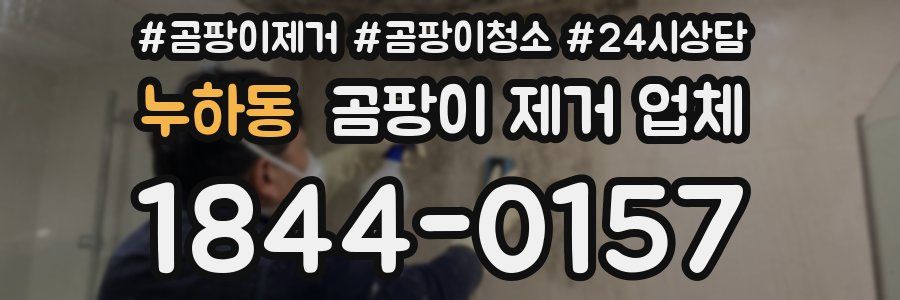 누하동 곰팡이 제거 업체