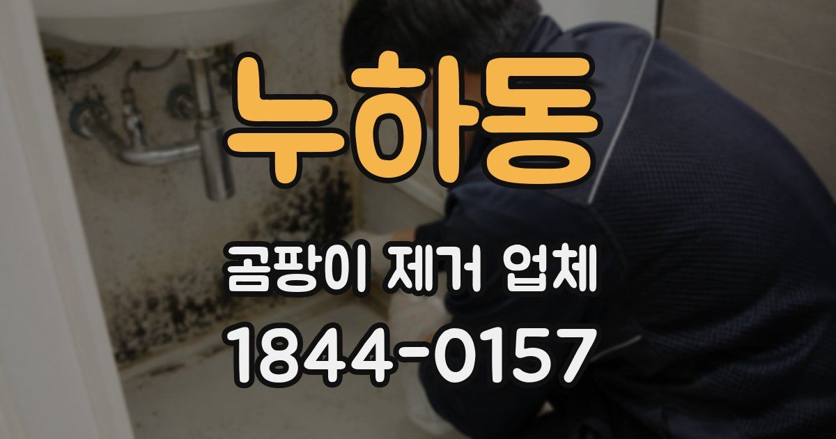 누하동 곰팡이 제거 업체