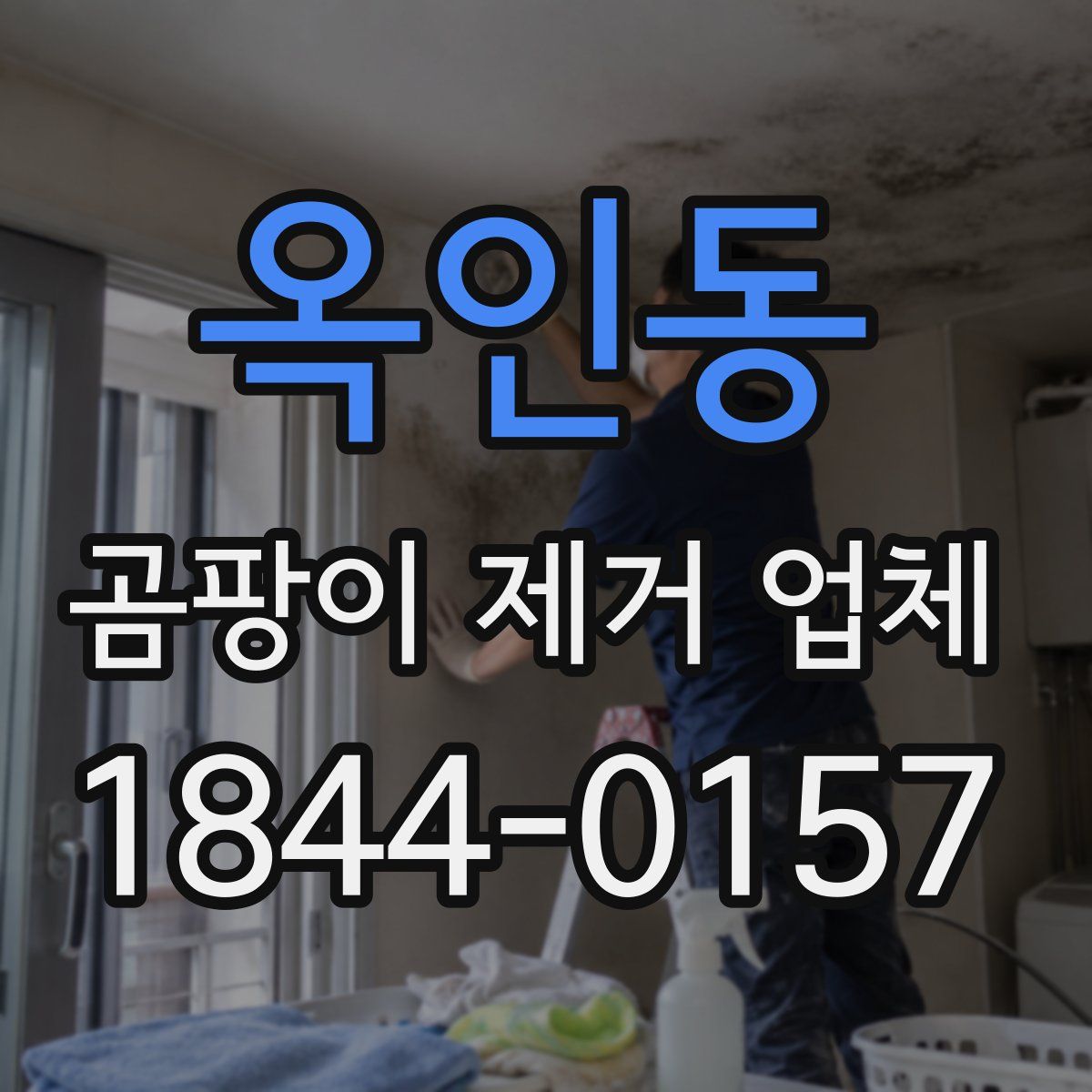 옥인동 곰팡이 제거 업체