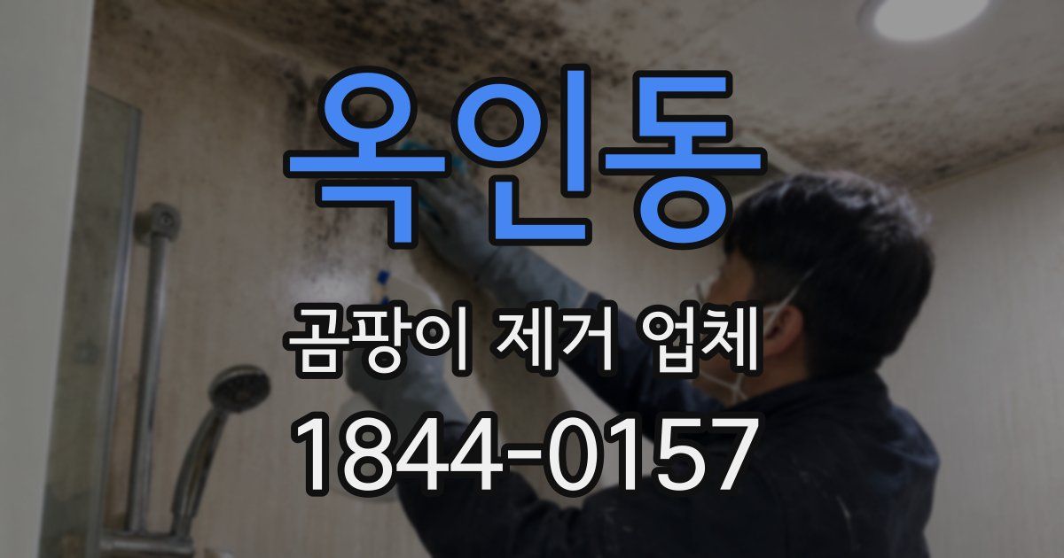 옥인동 곰팡이 제거 업체