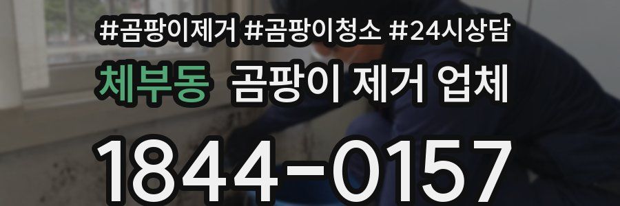 체부동 곰팡이 제거 업체