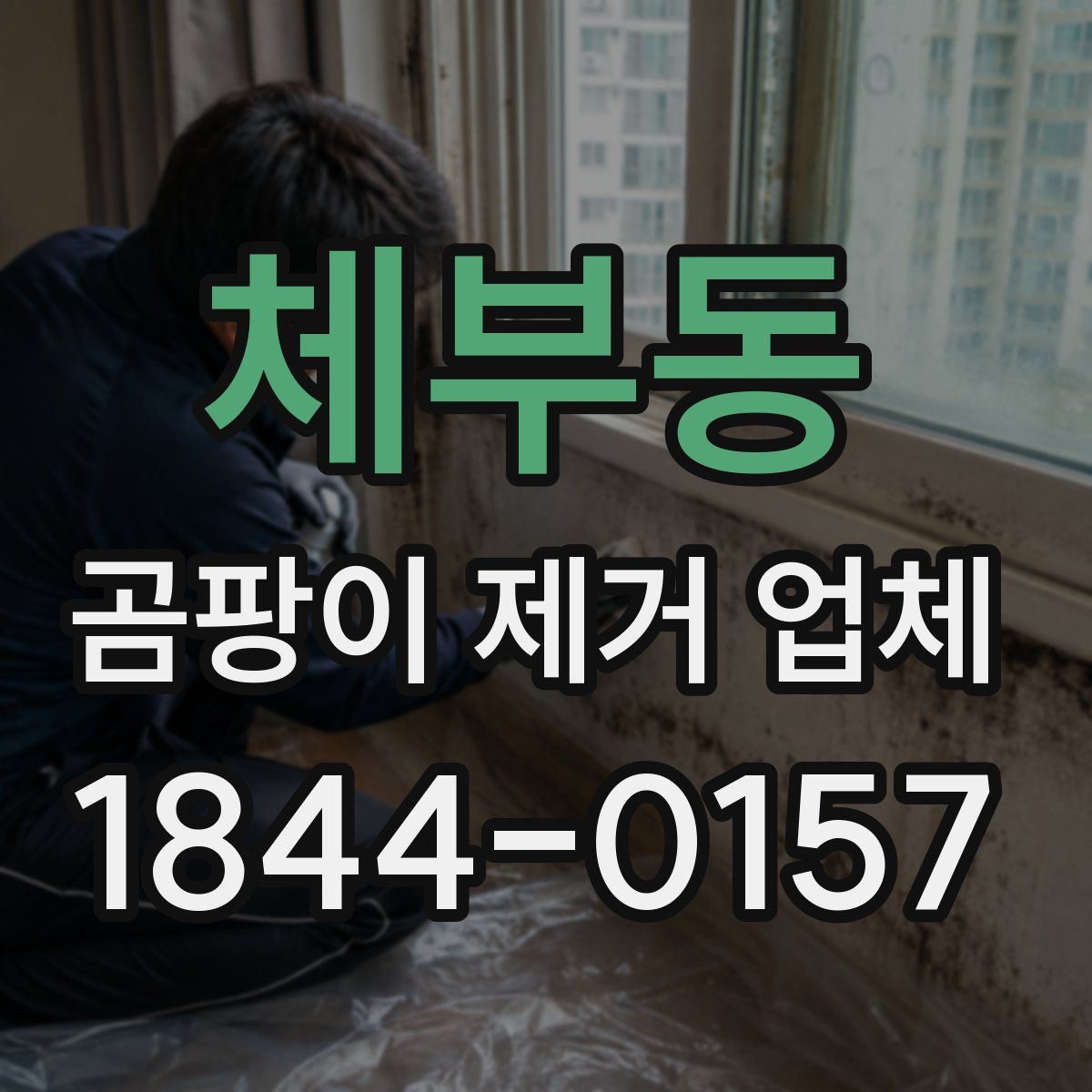 체부동 곰팡이 제거 업체